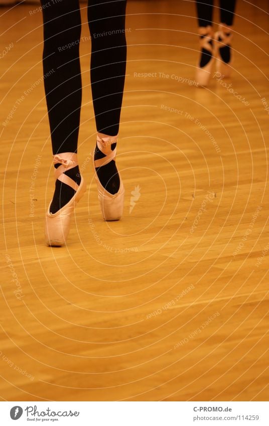 Ballet rehearsal I Parquet floor Black Swan Lake Past Vacation & Travel Concentrate Art Culture Dance Posture pointe shoes Sports Training Pattern Music