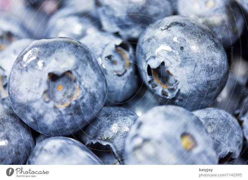 blueberries Blueberry Berries Fruit wild berries Vitamin Near Close-up Macro (Extreme close-up) Nutrition Organic produce Organic farming Dessert Fresh
