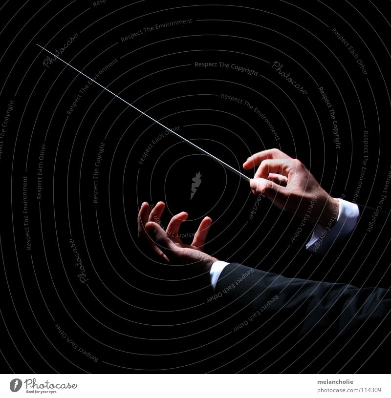 Conductor II Beat Fingers Hand Shadow play Concert Orchestra Audience Guest Opening Violinist Berlin State Opera Harmonious Emotions Practice Talented Compose