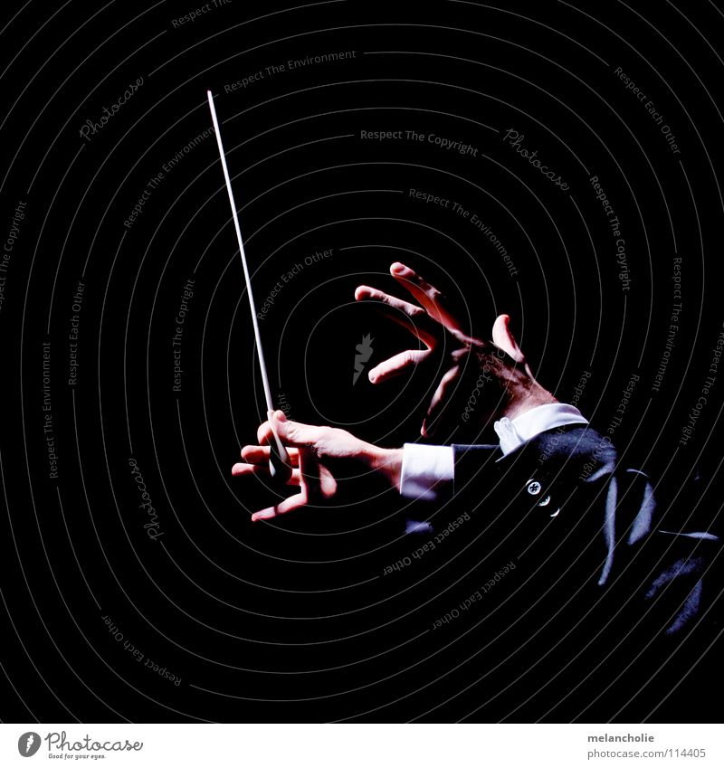 Conductor III Beat Fingers Hand Shadow play Concert Orchestra Audience Guest Opening Violinist Berlin State Opera Harmonious Emotions Practice Talented Compose