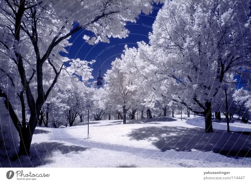 white summer 2 Olympic Park Munich Infrared Infrared color White Tree Olympic Tower Bushes Meadow Long exposure channel shifting Blue Sky Lawn