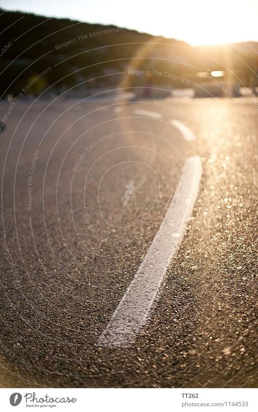 Dashed II Landscape Transport Street Adventure voyage Signs and labeling tired Asphalt Colour photo Exterior shot Morning Dawn Day Light Reflection