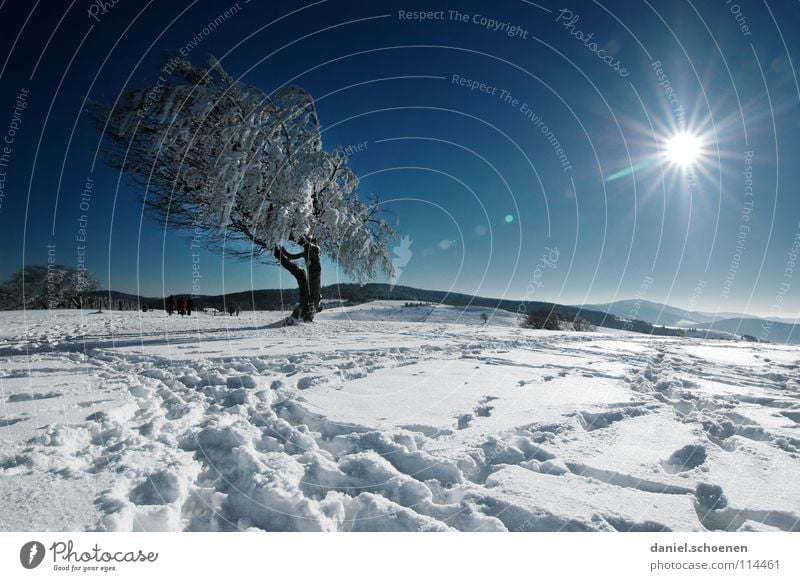 Christmas card 22 Sunbeam Winter Black Forest White Deep snow Hiking Leisure and hobbies Vacation & Travel Background picture Tree Snowscape Horizon Loneliness