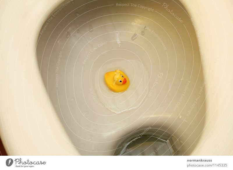 WC Duck Toys Squeak duck Swimming & Bathing Disgust Funny Near Nerdy Cute Bizarre Adversity Toilet Yellow wc ente glasses Colour photo Interior shot Deserted