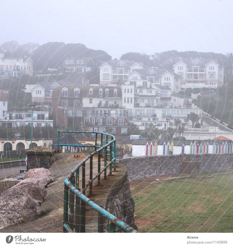City by the sea Bad weather Fog Coast Beach England Devonian Village Small Town Port City Outskirts House (Residential Structure) Settlement slope development