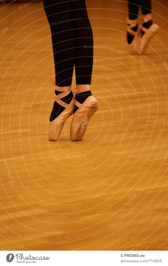 Ballet rehearsal II Parquet floor Black Swan Lake Past Vacation & Travel Concentrate Art Culture Dance Posture pointe shoes Sports Training Pattern Music