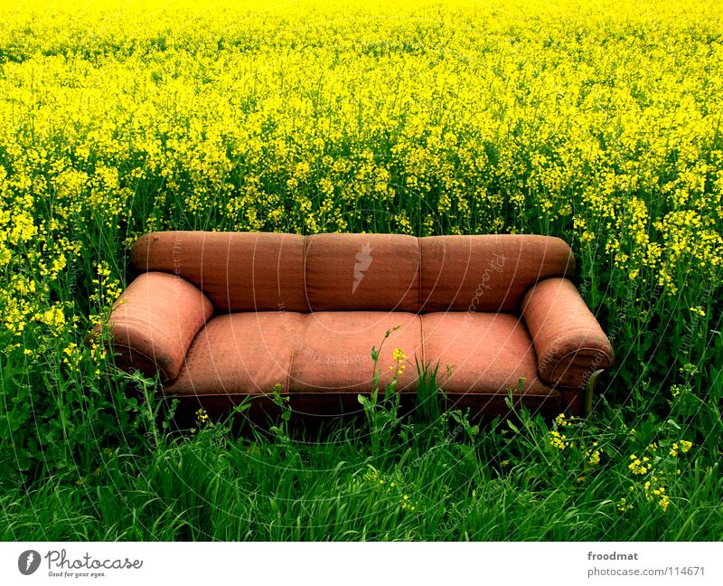 Why don't you sit down Meadow Relaxation Sofa Furniture Misplaced Canola Field Green Yellow Monstrous Empty Plant Seating Sleep Rest Living room Heavenly