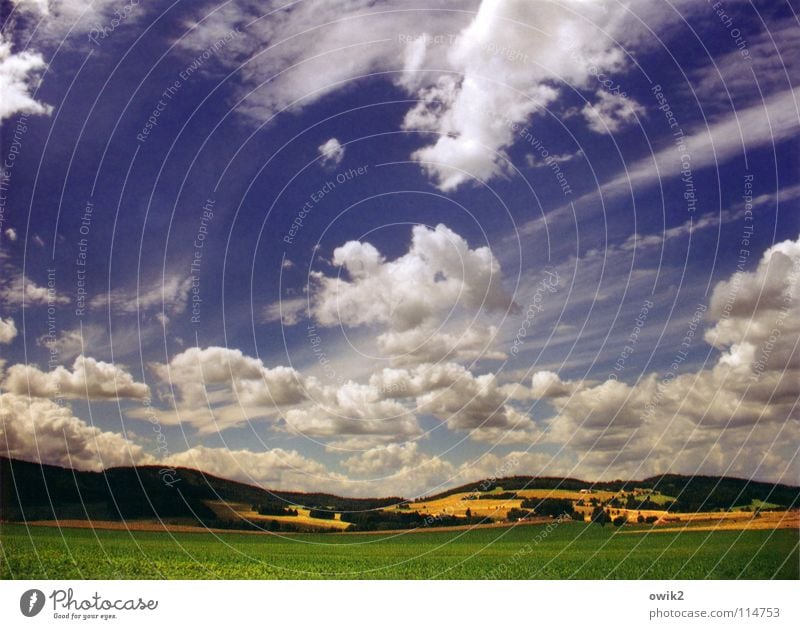 Sky over Hochkirch Panorama (View) Undulating Agriculture Field Meadow Forest Tree Clouds Dramatic Bad weather Wind In transit Cloud shadow Saxony Germany East
