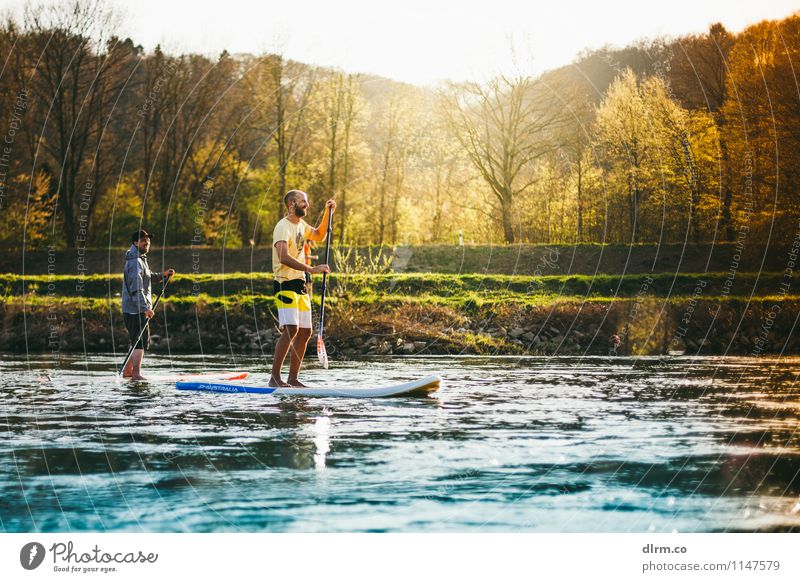 SUP Standup Paddling on the Ruhr River Lifestyle Healthy Athletic Fitness Relaxation Calm Leisure and hobbies Sports Aquatics SEA Friendship Nature Water Spring