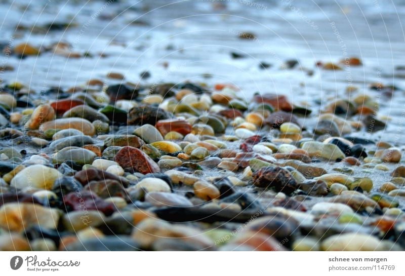 sharpen l shallows Ocean Lake Beach Red Yellow Find Low tide Flow Calm Tide Autumn Winter Stone Coast Water Sand North Sea Colour High tide Rock