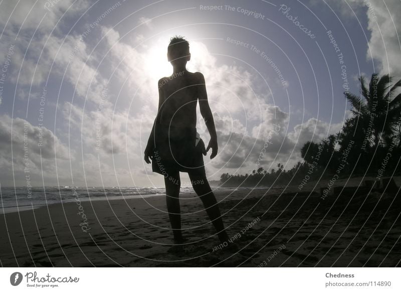 beach shadow Palm tree Sandcastle Ocean Waves Sea water Clouds White Light Silhouette White crest Sri Lanka Asia Beach Coast Sky Water Fog Blue Shadow Ahangama