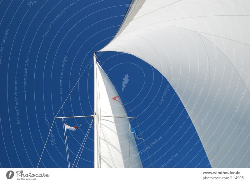 complete kit Sailing Blue sky Summer Blue-white Aquatics Wind crossing wind Day at the sea