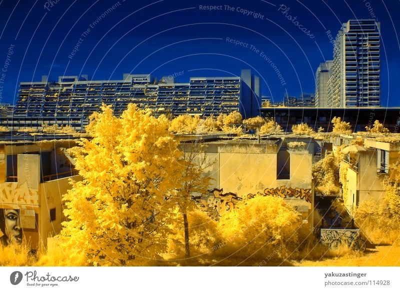Conolly Street Yellow Infrared Infrared color Tree Bushes Concrete Olympic village Israel Terror Facade Balcony Long exposure Blue channel shifting