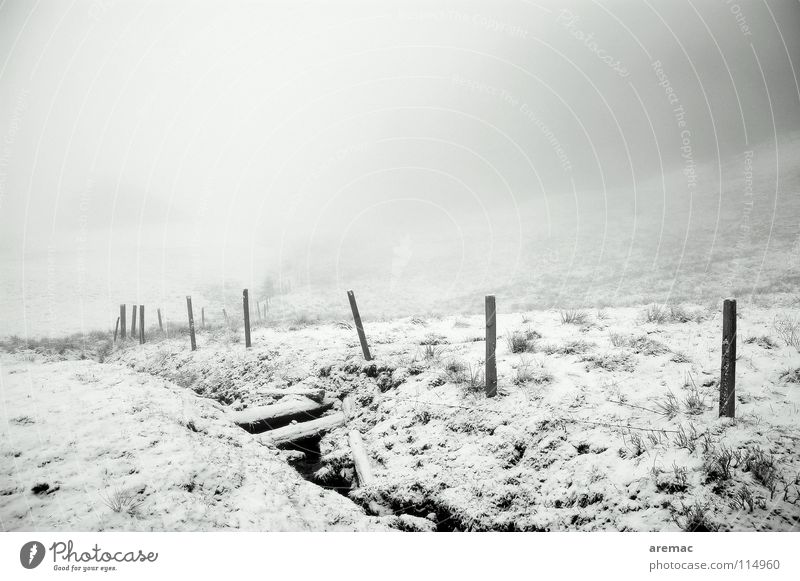 fog valley Fog Winter Black White Allgäu Black & white photo Mountain Landscape Snow Alps