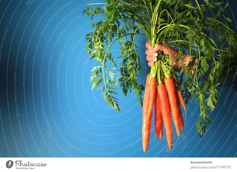 Much helps Much Food Vegetable Nutrition Organic produce Vegetarian diet Carrot Raw vegetables Healthy Healthy Eating Hand Plant Fresh Delicious Many Blue Green