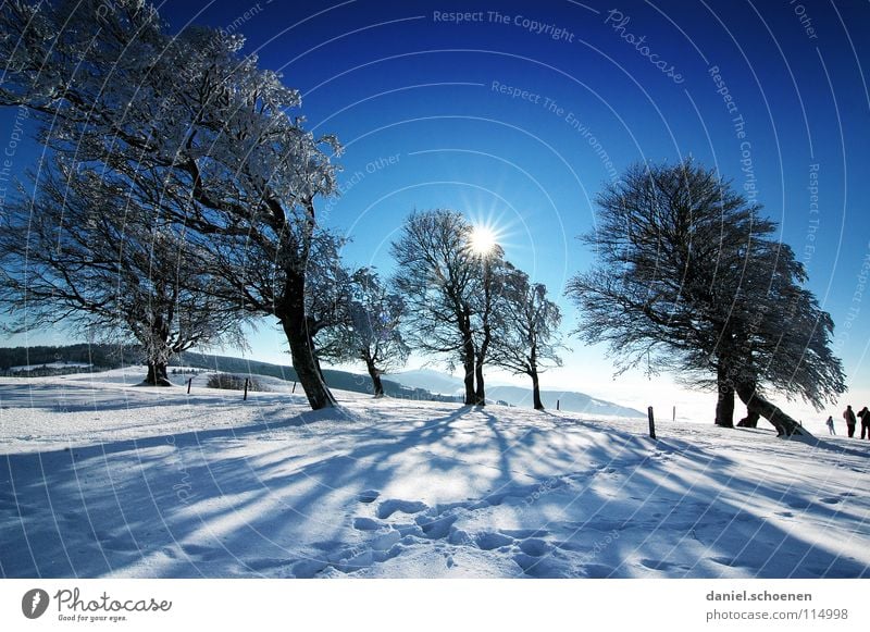 Christmas card 24 Sunbeam Winter Black Forest White Deep snow Hiking Leisure and hobbies Vacation & Travel Background picture Tree Snowscape Horizon Loneliness