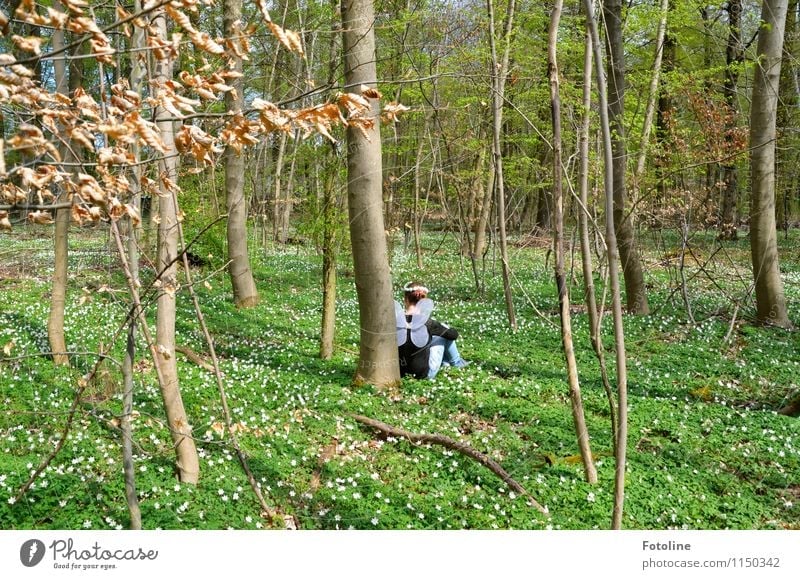 fairy tales Human being Feminine Girl Young woman Youth (Young adults) Infancy 1 8 - 13 years Child Environment Nature Landscape Plant Spring Tree Flower Forest