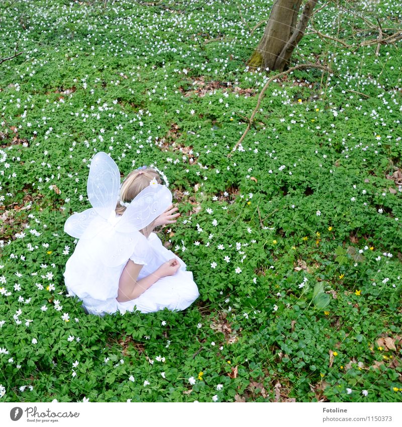 little wings Human being Feminine Child Girl Infancy Head Arm 1 Environment Nature Plant Spring Beautiful weather Flower Park Forest Bright Natural Green White