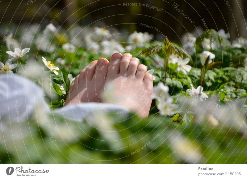 barefoot Human being Child Infancy Skin Feet Environment Nature Plant Spring Beautiful weather Flower Blossom Park Forest Free Bright Near Natural Warmth Green
