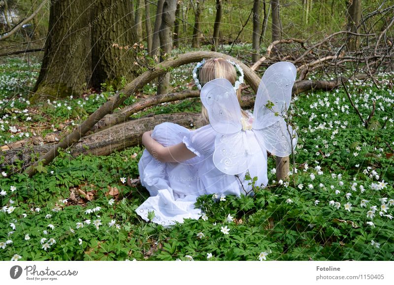 fairy meadow Human being Feminine Child Girl Infancy 1 Environment Nature Landscape Plant Spring Tree Flower Forest Free Near Natural Green White Fairy Elf Wing