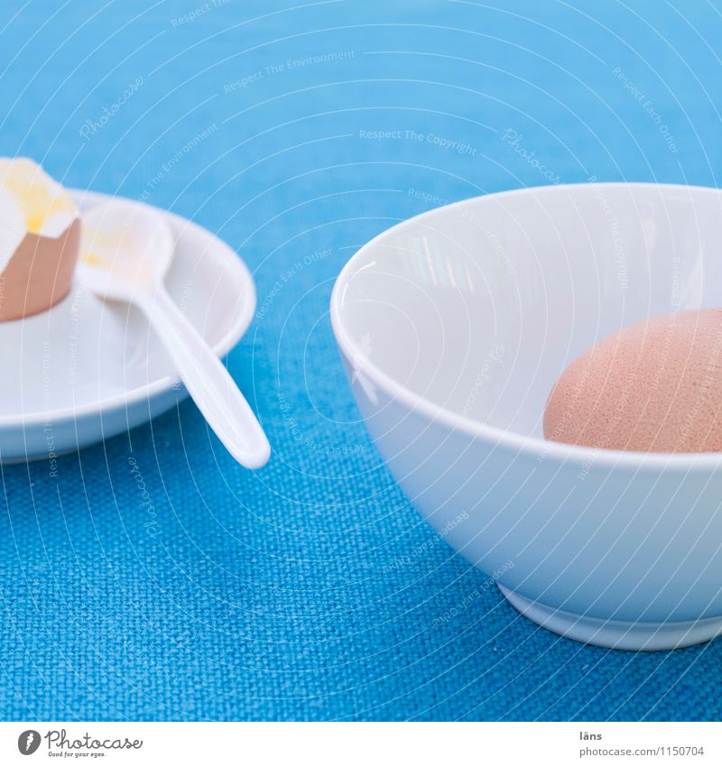 the yellow of the egg Food Nutrition Breakfast Crockery Bowl Summer Living or residing Garden Table Simple Friendliness Together Blue Turquoise White Appetite