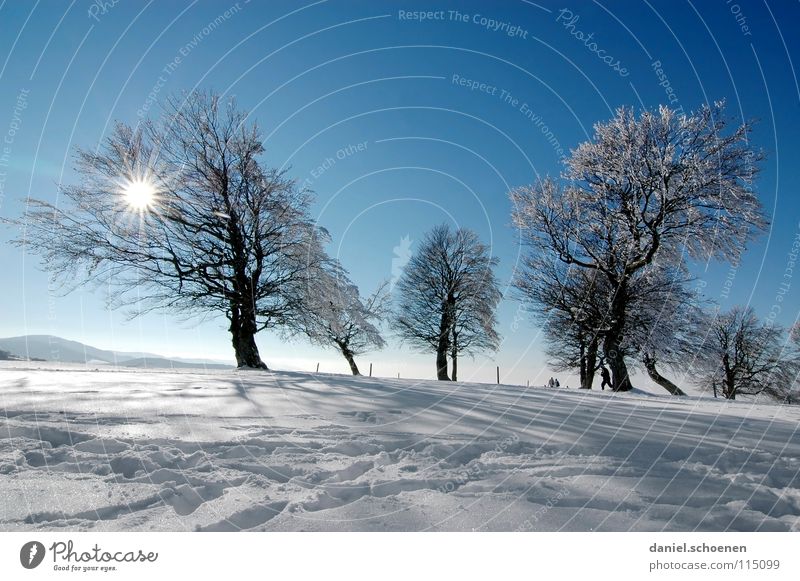 Christmas card 25 (the last one !) Sunbeam Winter Black Forest White Deep snow Winter sports Hiking Leisure and hobbies Vacation & Travel Background picture