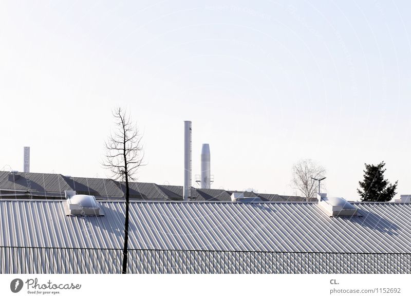 PLANES Environment Nature Cloudless sky Autumn Winter Climate Beautiful weather Tree Deserted Industrial plant Factory Building Roof Chimney