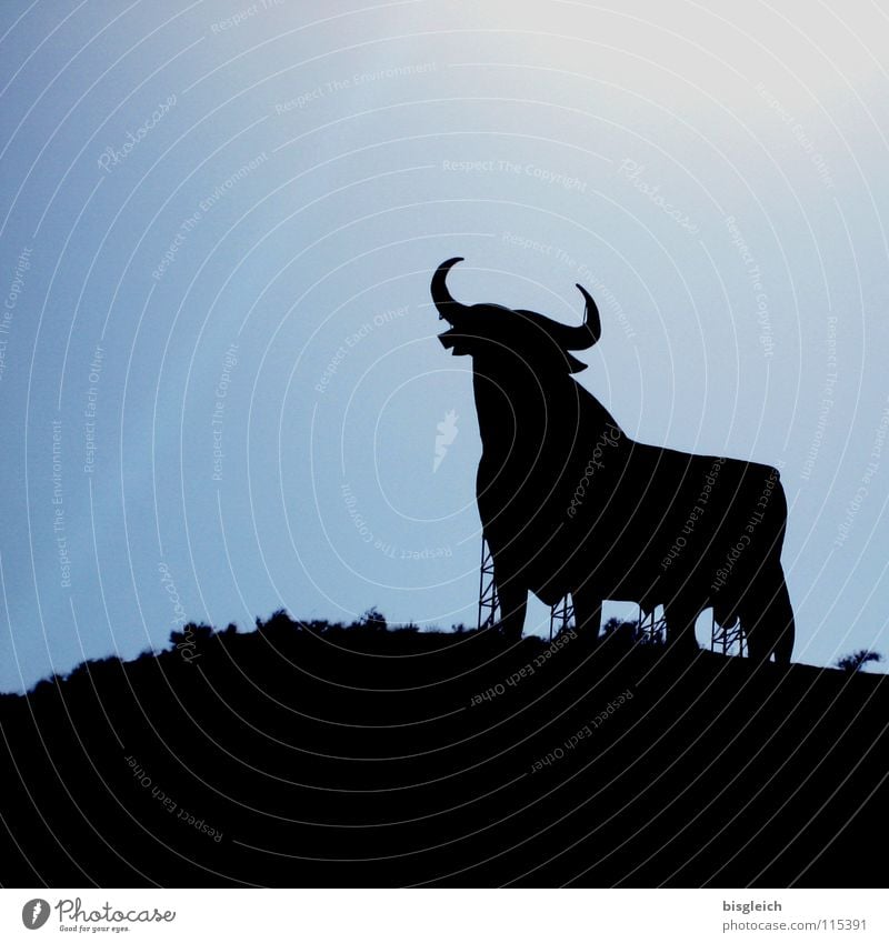 El Toro (Spain) Animal Sky Farm animal 1 Signs and labeling Strong Blue Power Advertising Andalucia Bull Bullfight Sherry Force brandy silouette Colour photo