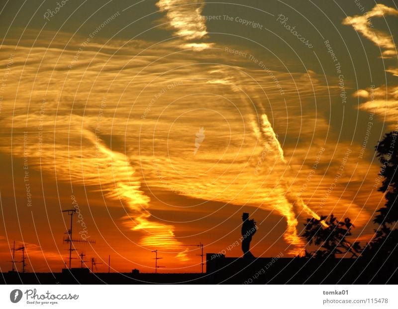 ON THE AIR! Red Yellow Clouds Sunset Light Evening Roof Antenna Chimney sweep Man Moonstruck Exterior shot Sky Structures and shapes Dusk Above Red sky
