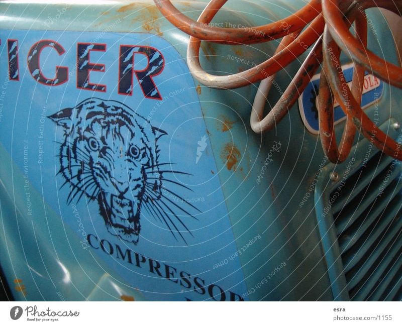 tiger Tractor Tiger Engines Compressor Obscure Cable Old Close-up Blue