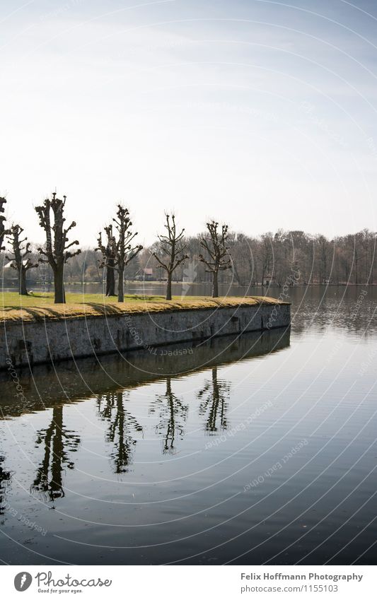 A row of trees on the shore Architecture Environment Nature Landscape Plant Air Water Sky Spring Tree Lakeside Pond Moritzburg Germany Europe Wall (barrier)