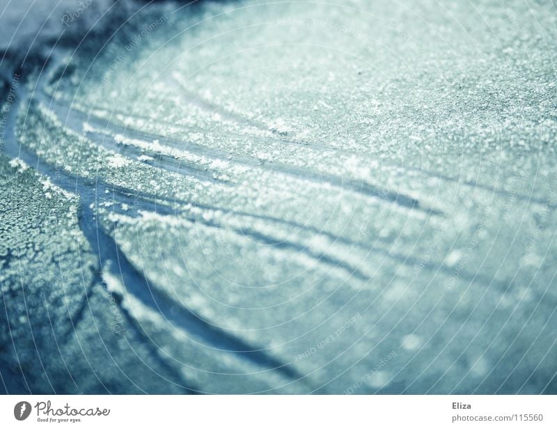 Traces on frozen blue background Scratch mark ice scraping Frozen Lake chill Ice crystal Winter sports Frozen surface Tracks Snow Blue Glittering icily Slice