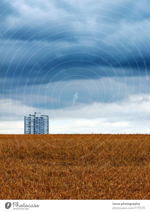 Cloud Empire Harvest Wheat Ear of corn Field Cornfield Barley Agriculture Farm Autumn Footpath Meadow Rut Rural Storm Clouds Bad weather Gale Thunder Cold Wet