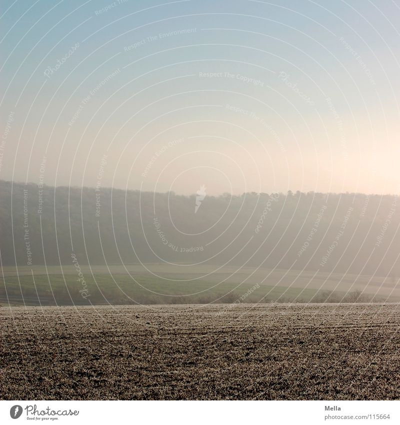 Cold morning hour Morning Winter Hoar frost Ice Fog Bad weather Field Meadow Forest Tree Earthy Clink Air Fresh Green Brown White Time Far-off places Year