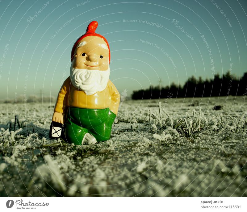 Looking for christmas (2) Meadow Grass Frozen Freeze White Hoar frost Exterior shot Winter December Cold Christmas & Advent Dwarf Garden gnome Whimsical