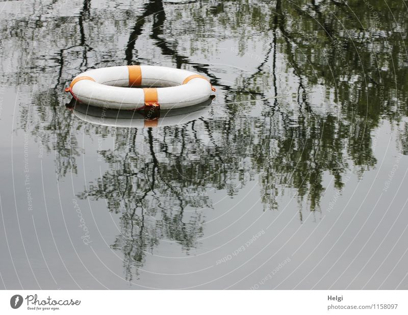 rescuing Environment Nature Water Tree Pond Life belt Plastic Lie Swimming & Bathing Exceptional Round Gray Orange Black White Calm Threat Trust Rescue Safety