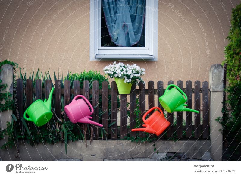 Different coloured watering cans hang on a fence. Decorated with a flowerpot in the middle. In the background a window with a curtain. Design Harmonious