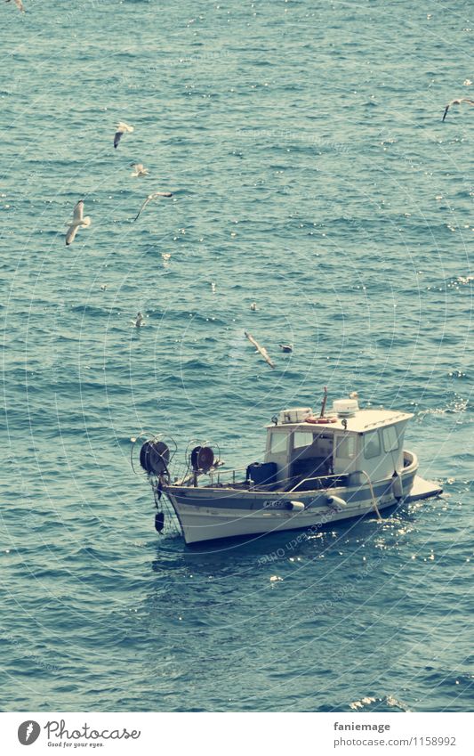 the same in green... Environment Nature Authentic Fishing boat Fishery Marseille CALANQUES marseilleveyre Mediterranean sea Greeny-blue White Seagull Flock