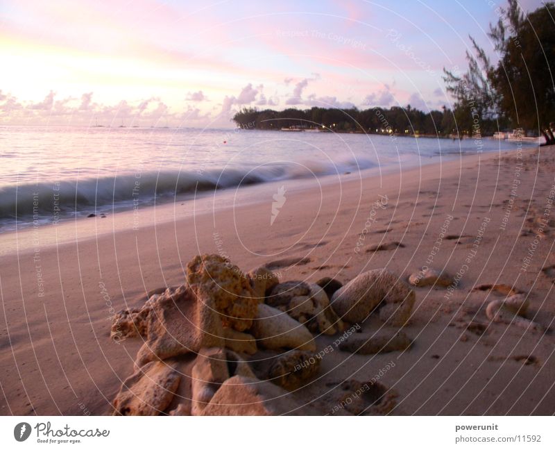 Sun, sand and... Barbados Sunset Beach Waves Ocean Dusk Holetown