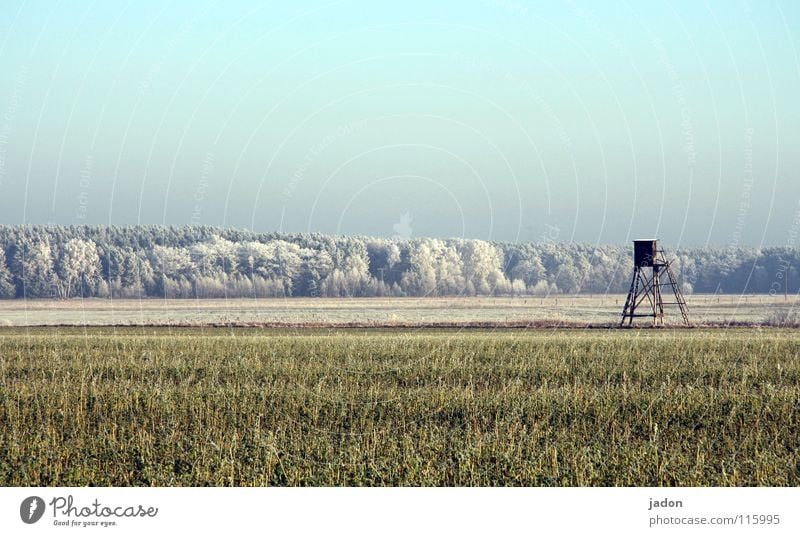 beginning of winter Winter Field Forest Hoar frost Tree Hunting Blind Cold Panorama (View) Calm Brandenburg Sky Frost Beautiful weather Far-off places Snow