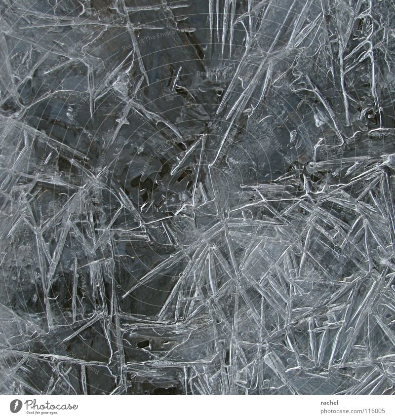 Frost Spell II Lake Brook Bog Freeze to death Solidify Ice Cold Deep frozen Frozen Aggregate state Minus degrees Thaw Melt Winter December Romance Glittering