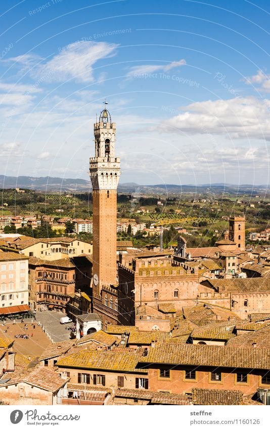 Siena Small Town Old town Vacation & Travel Tuscany Italy Torre del Mangia Beautiful weather Colour photo Exterior shot Copy Space top Bird's-eye view