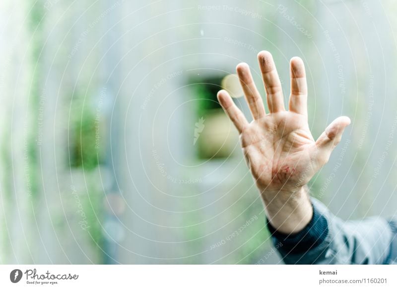 FR UT | Five-Ten-Hundred Human being Masculine Man Adults Hand Fingers Ball of the hand Wrinkle Sign 5 Broken Blue Green Pain Wound Imprint fall sequences