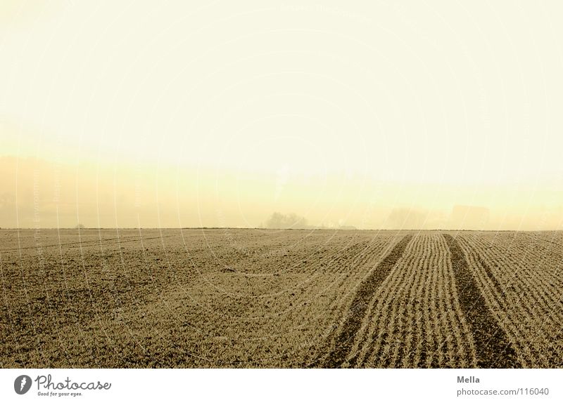 Cold Morgenacker II Field Morning Frozen Freeze Ice Hoar frost Clink Tracks Skid marks Tractor track Sowing Seeds Furrow Fog Morning fog High fog Bad weather