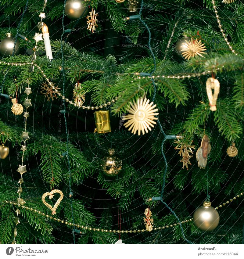 every year Christmas tree Christmas & Advent Christmas decoration Tree Coniferous trees Fir tree Fairy lights Green Winter Glitter Ball Embellish December
