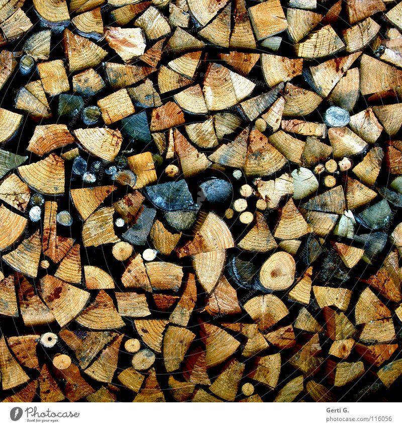 Yvonne his wood in front of the hut Wood Firewood Ignite Wood chopping Axe Round Sharp-edged Oak tree Beech tree Dry Cudgel Burn Stack of wood Arrangement