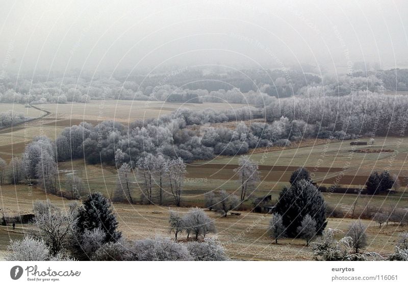 Powdered sugar?! Winter Cold Hoar frost Frozen Meadow Field Tree Panorama (View) Confectioner`s sugar Fog White Bushes Snow Frost Pasture Landscape