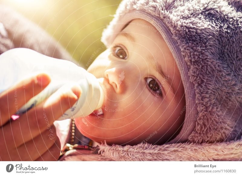 Baby bottle drink in the first spring rays Drinking Milk Lifestyle Masculine Face 0 - 12 months Sun Sunlight Spring Weather Beautiful weather Eating Feeding