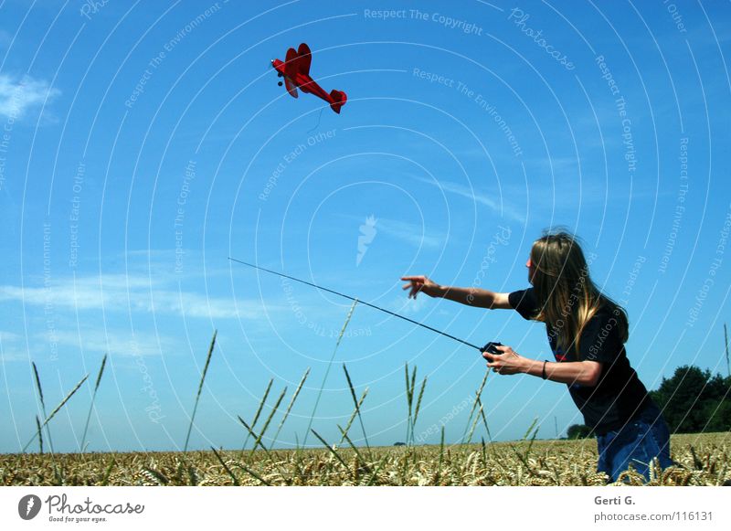up*swing Model aeroplane Cornfield Red Remote control Antenna Playing Upper body Wheat Wheatfield Go up Long-haired Blonde Young man Sky blue Heavenly Swing