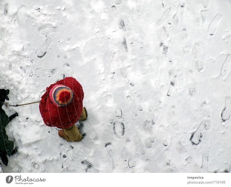 woman and dog I Row Winter Dog White Cold Red Black December Animal Pet 2 Friendship To go for a walk Bound Chained up Together Relationship Loneliness Cap